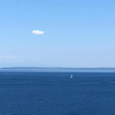 Silvia's Haus Daire *